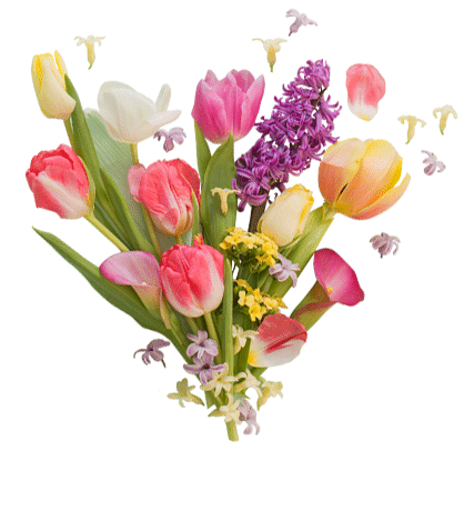+ Tulipas