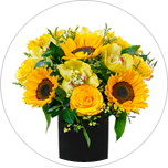 Flores em Vasos